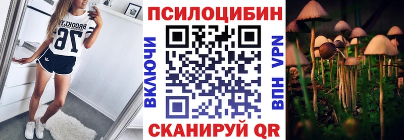 Псилоцибиновые грибы GOLDEN TEACHER  Купить  Боготол 