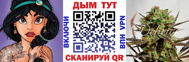 Шишки марихуана марихуана  Купить закладки  Боготол 